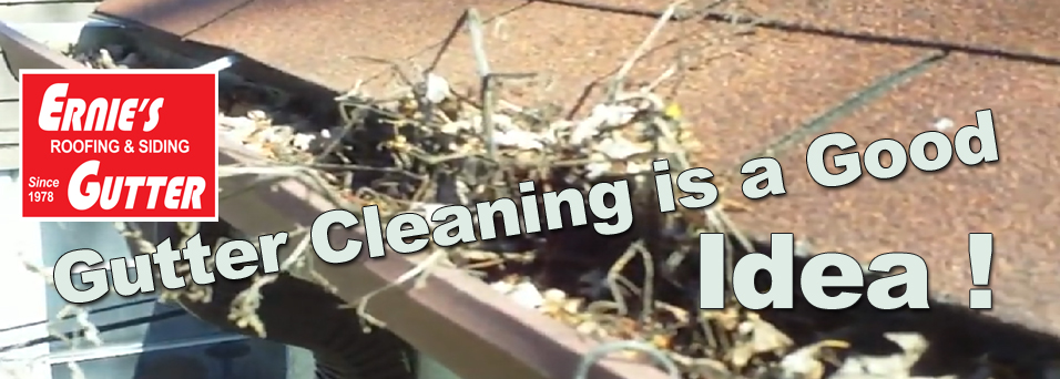 Clean Vinyl Siding
