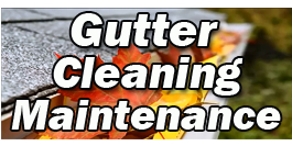 Gutter Cleaning